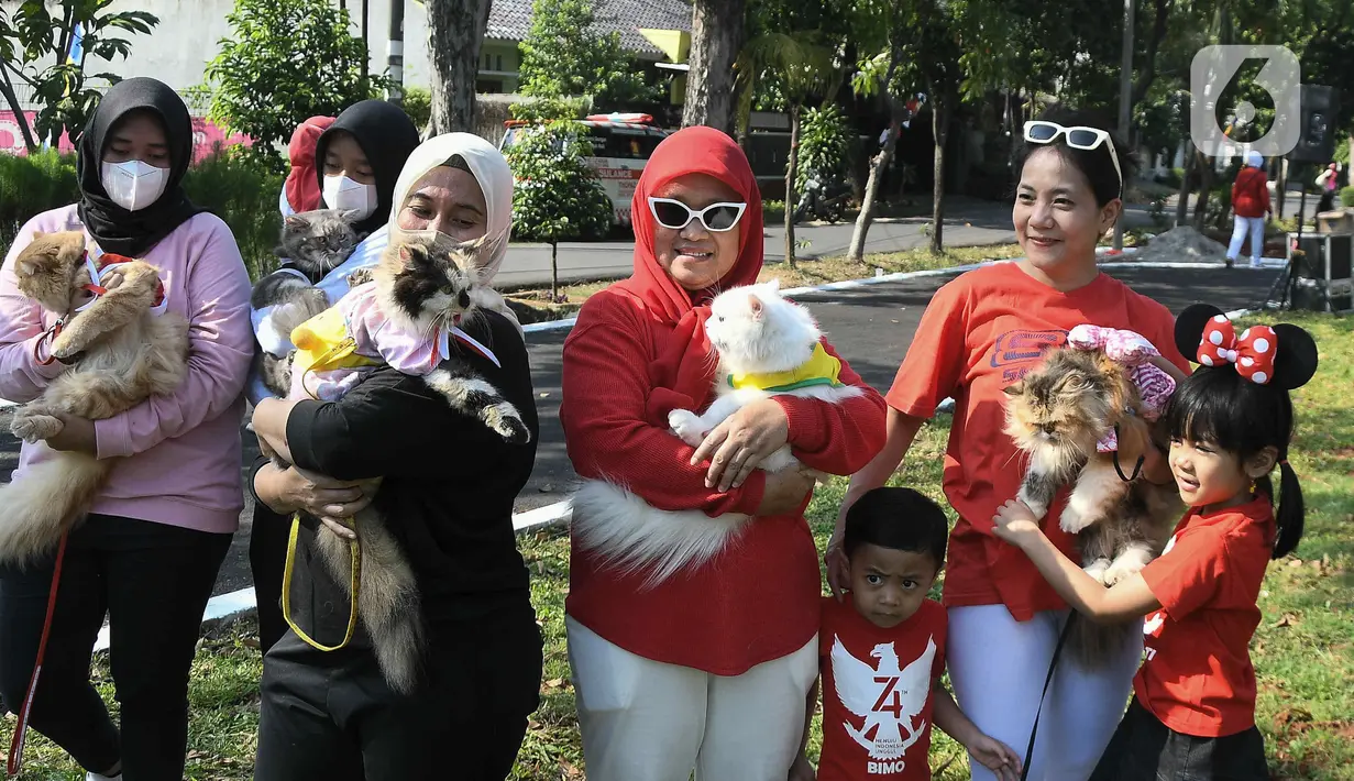 Warga membawa kucing peliharaannya pada acara fashion  show kucing rumahan di Lapangan Kolaborasi Komplek Ikip, Duren Sawit, Jakarta, Minggu (14/8/2022). Acara fashion show yang merupakan rangkaian dari kegiatan HUT Kemerdekaan Republik Indonesia ke 77 dan sebagai wadah berkumpulnya komunitas pecinta kucing di Jakarta Timur. (Liputan6.com/Herman Zakharia)