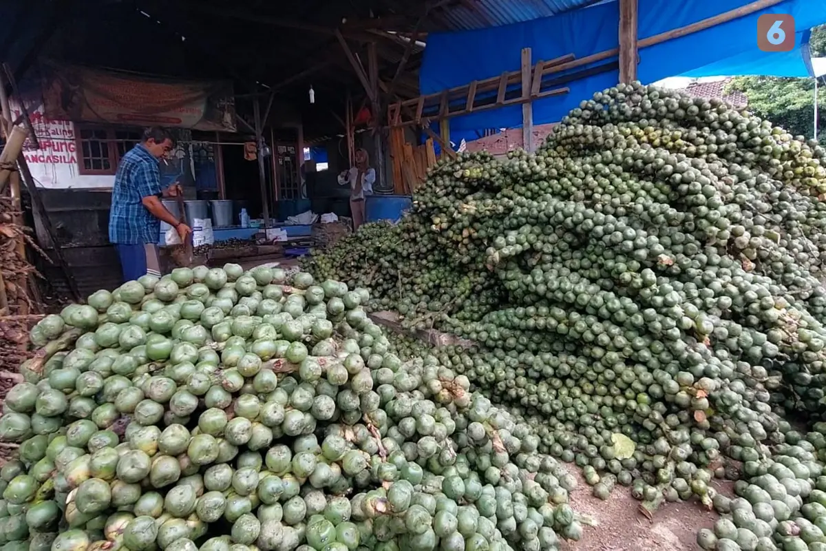 Pedagang kolang-kaling di Bandar Lampung kebanjiran pesanan menjelang Ramadan 2025. Foto : (Liputan6.com/Ardi).