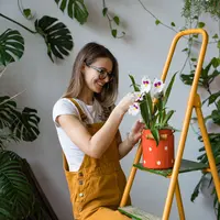 Tanaman Hias Sesuai Zodiak (Shutterstock By DimaBerlin)