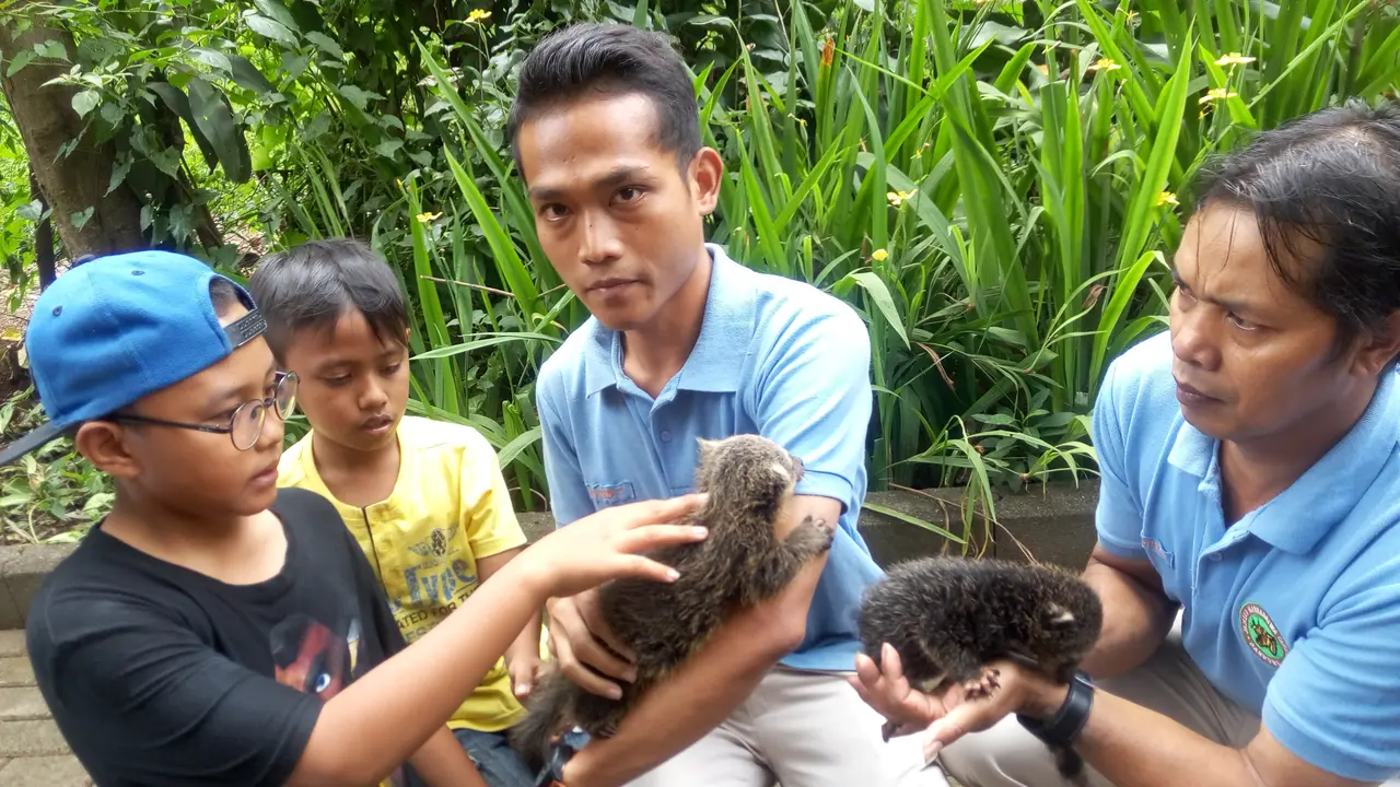 Binturong