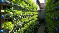 9 Barang Bekas yang Bisa Jadi Material Hidroponik, Solusi Berkebun Hemat