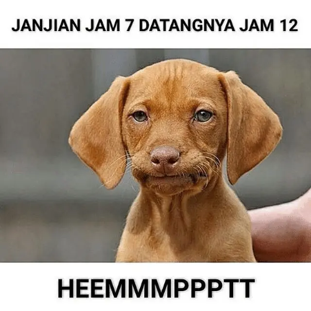 7 Meme Kocak Orang Janjian Ketemu Ini Bikin Kesal