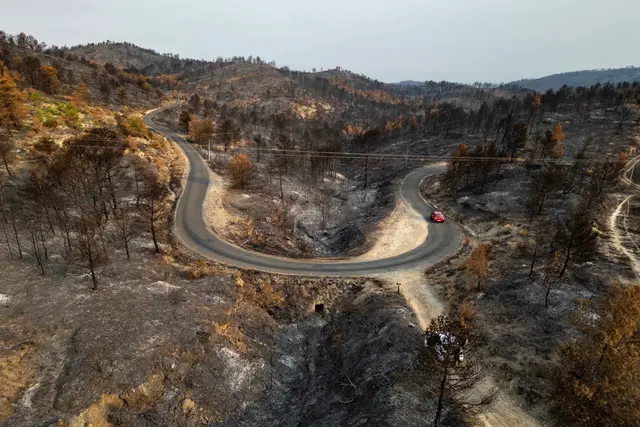 Potret Kehancuran Hutan di Prancis Pasca-Kebakaran Hebat