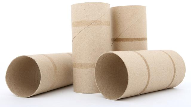 Ilustrasi Tabung Tisu Toilet Bekas untuk Kerajinan