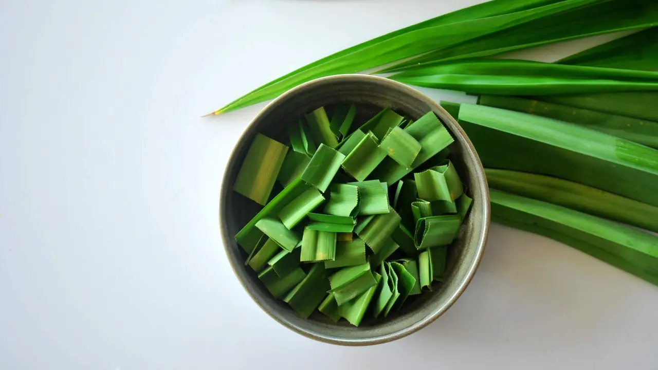 daun pandan