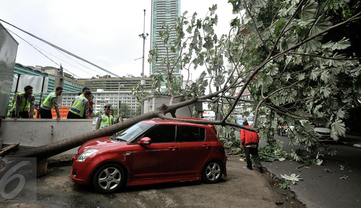 Petugas menyaksikan pohon tumbang yang menimpa dua mobil yang tengah terparkir di sebelah Pos Polisi Bundaran HI, Jakarta, Selasa (15/12). Tak ada korban jiwa akibat tumbangnya pohon yang disebabkan angin kencang tersebut. (Liputan6.com/Faizal Fanani)