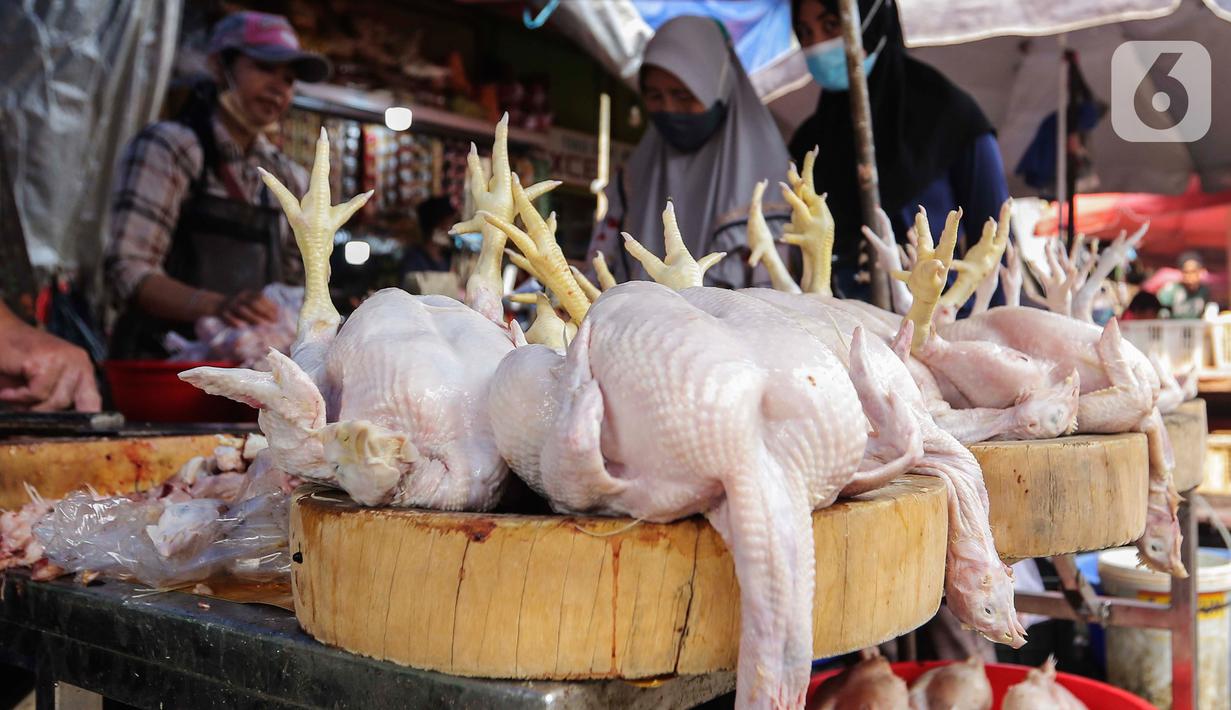 Namun berbeda dengan bahan pokok lainnya, harga cabai tetap mengalami kenaikan yang perlu mendapat perhatian serius dari pemerintah. (Liputan6.com/Angga Yuniar)