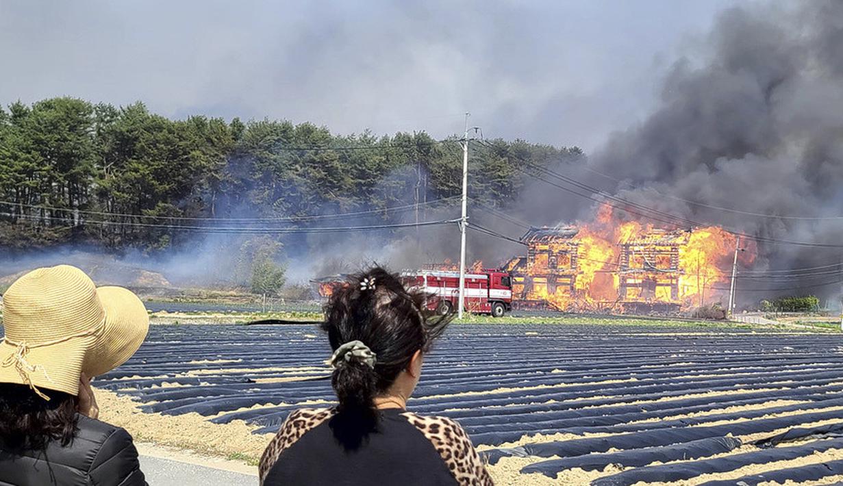 <p>Api menutupi lebih dari 370 hektare dan petugas pemadam kebakaran membuat penghalang sembari fokus pada mencegah api menyebar ke daerah Gangneung yang lebih padat penduduknya, menurut Dinas Kehutanan Korea dan Pemerintah Provinsi Gangwon. (You Hyung-jae/Yonhap via AP)</p>