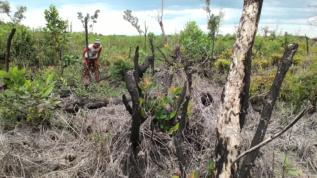 25 Hari Tidak Hujan, Sumsel Berpotensi Terjadi Kebakaran Hutan