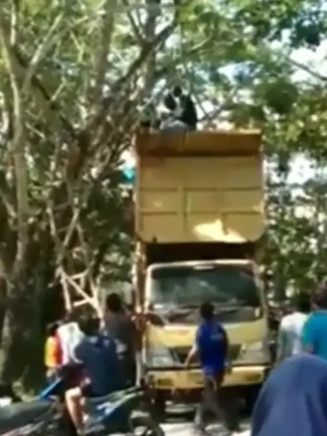 Dikira Mau Bunuh Diri, Remaja yang Panjat Pohon Ini Bikin Geger Warga