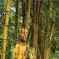Manusia dan pohon bambu. (Via: boredpanda.com)