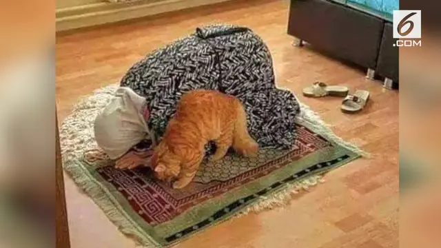 VIDEO: Menakjubkan, Hewan Ini Ikut Salat