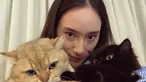 Perempuan keturunan Jerman dan Indonesia ini sering mengisi waktu luangnya untuk bermain dengan kucing perliharaannya. Ada dua kucing peliharaan Tatjana yang penampakannya sukses bikin gemas. Tatjana pun merasa gemas saat berhasil merangkul dua kucingnya. (Liputan6.com/IG/@tatjanasaphira)