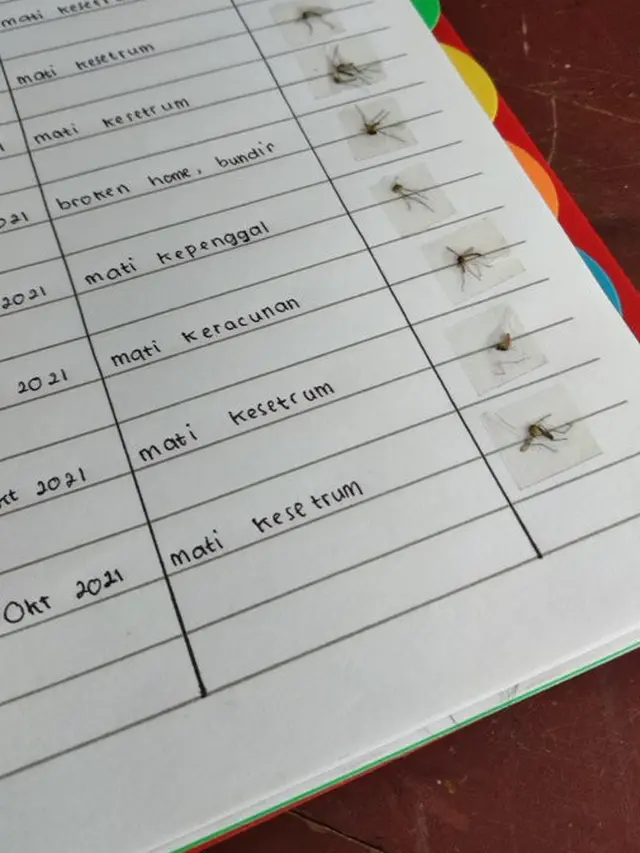 6 Catatan Nyeleneh Koleksi Nyamuk Mati di Buku Ini Bikin Heran