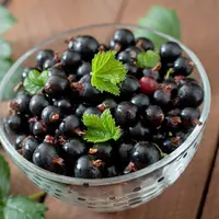 Ilustrasi Blackcurrant Credit: pexels.com/Veno