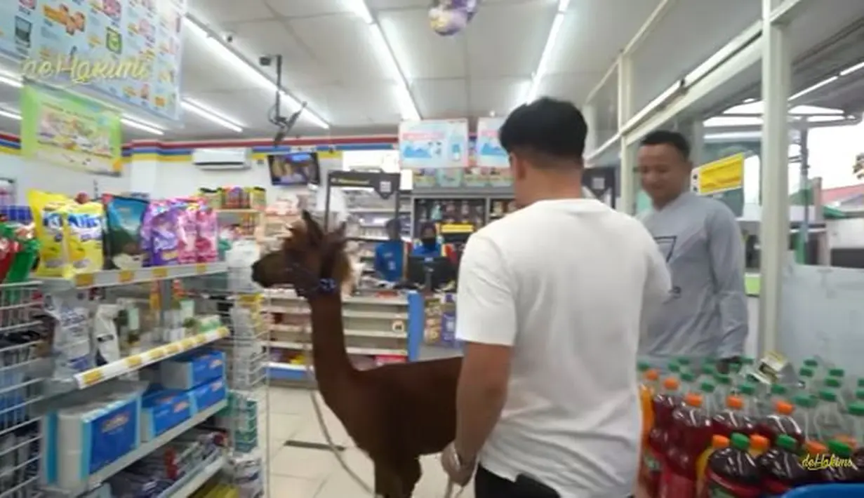Poka mengendus beberapa barang yang ada di sana. Irfan Hakim pun menyatakan apa yang dicium Poka akan dibayar. (Foto: YouTube)