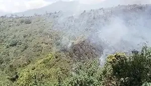 Gunung Bromo Kembali Terbakar, Pemadaman Terkendala Medan Terjal