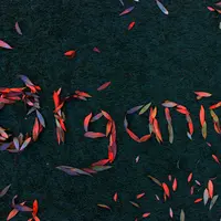 Ilustrasi bahan organik | unsplash.com