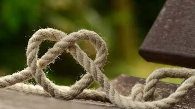 Ilustrasi Shibari