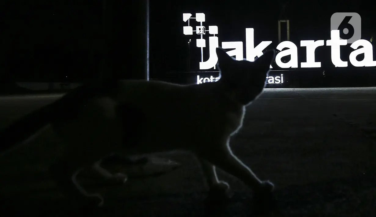 Suasana salah satu taman yang sepi saat pemberlakuan pembatasan mobilitas warga guna menekan penyebaran COVID-19 di Jakarta, Selasa (22/6/2021). Pembatasan dilakukan karena meningkatnya jumlah kasus positif COVID 19 di Ibu Kota. (Liputan6.com/Johan Tallo)