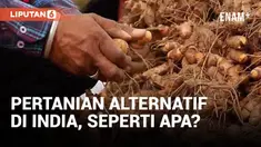 Gelombang migrasi balik dari kota ke desa terjadi di India setelah pandemi Covid dengan banyak warga memulai usaha pertanian alternatif di pedesaan. Usaha pertanian seperti ini membawa harapan untuk menciptakan lapangan kerja dan menghidupkan kembali...