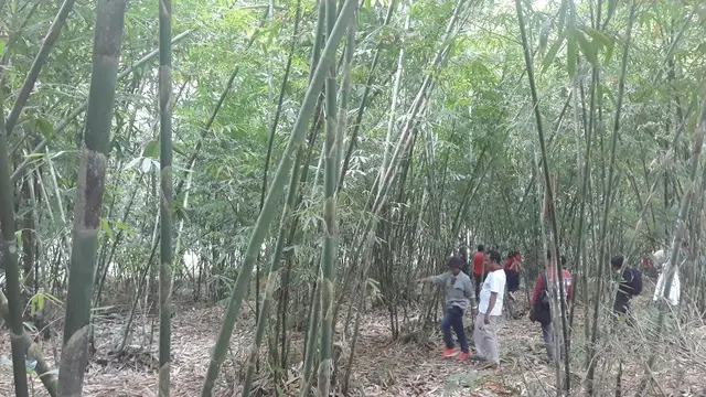 (Liputan6.com/Dewi Diviuanta)
