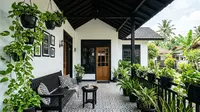 9 Inspirasi Teras Monokrom dengan Tanaman Sirih Gading dan Pot Hitam, Modern Estetik