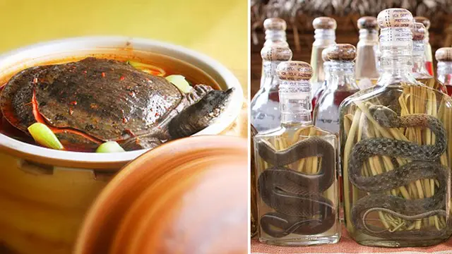 Berani Cicipi Sashimi dari Kodok Hidup?