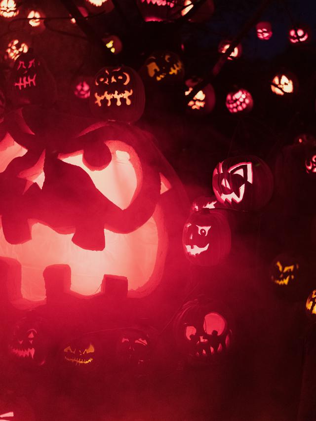 Scary and Mysterious Quotes