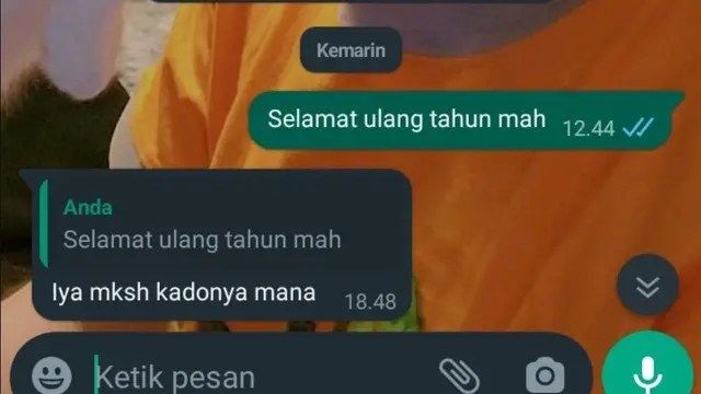 6 Balasan Chat Ibu Dapat Ucapan Selamat Ultah dari Anak Ini Bikin Senyum Tipis