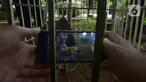 Wartawan mengambil gambar Bunga Bangkai (Amorphophallus Titanium) di Taman Perumahan Pondok Kopi RW 09, Jakarta Timur, Rabu (17/11/2021). Bunga bangkai yang sudah ditanam selama 4 tahun dengan tinggi 50 cm baru tumbuh bunga 3 hari dan mengeluarkan bau tidak sedap. (merdeka.com/Imam Buhori)
