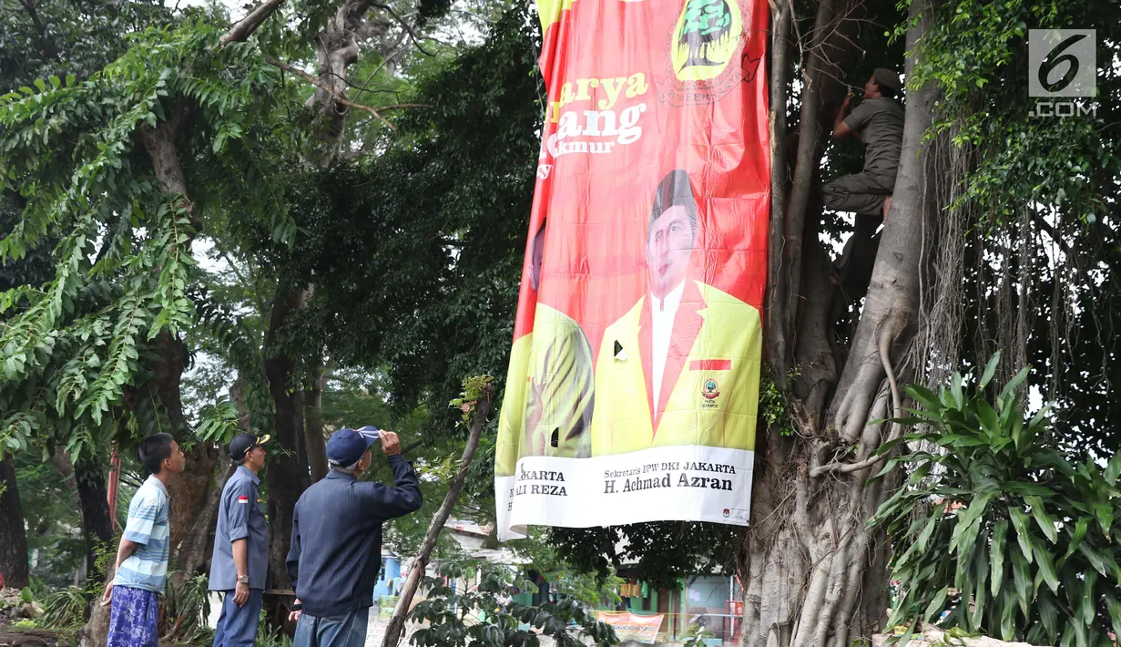 Petugas Satpol PP bersama Panwaslu kecamatan Ciracas menurunkan APK yang terpasang di salah satu pohon besar di Jalan Raya Bogor, Jakarta, Rabu (23/1). Penurunan APK ini karena pemasangannya dianggap melanggar ketentuan. (Liputan6.com/Helmi Fithriansyah)