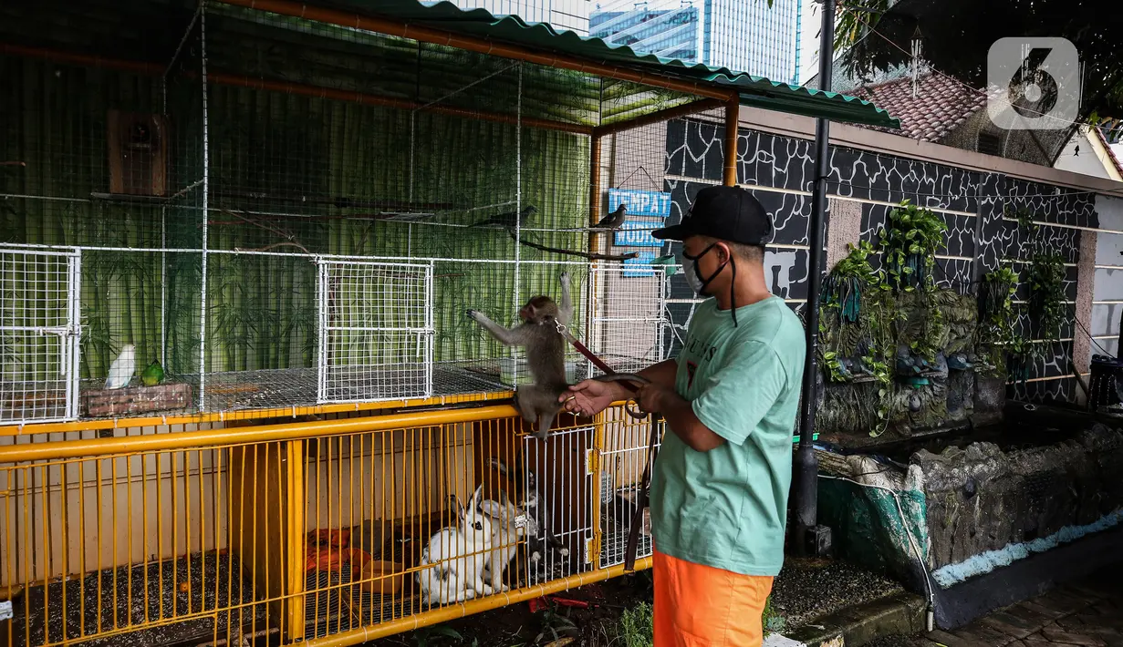 Petugas merawat hewan di ruang edukasi anak di halaman Kantor Kelurahan Karet, Jakarta Selatan, Selasa (30/3/2021). Adanya spot foto bertema go green dan kolam terapi ikan menambah daya tarik ruang edukasi anak tersebut. (Liputan6.com/Johan Tallo)