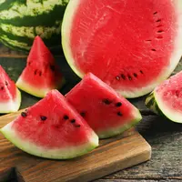 ilustrasi buah semangka/5 second Studio/Shutterstock