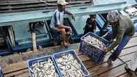 Aktivitas nelayan saat bongkar muat ikan di dermaga Kalibaru, Cilincing, Jakarta, Rabu (23/3/2022). Sejumlah jenis ikan konsumsi harian rumah tangga seperti ikan kembung, layang, cakalang, dan tongkol mengalami kenaikan harga akibat tingginya permintaan jelang Ramadan (merdeka.com/Iqbal S Nugroho)