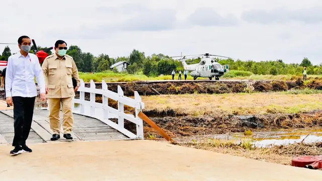 Presiden Jokowi meninjau lokasi pengembangan food estate atau lumbung pangan nasional dalam kunjungan kerja ke Provinsi Kalimantan Tengah.