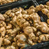 Ilustrasi sekotak jahe. (Foto: Unsplash/Mitchell Luo)