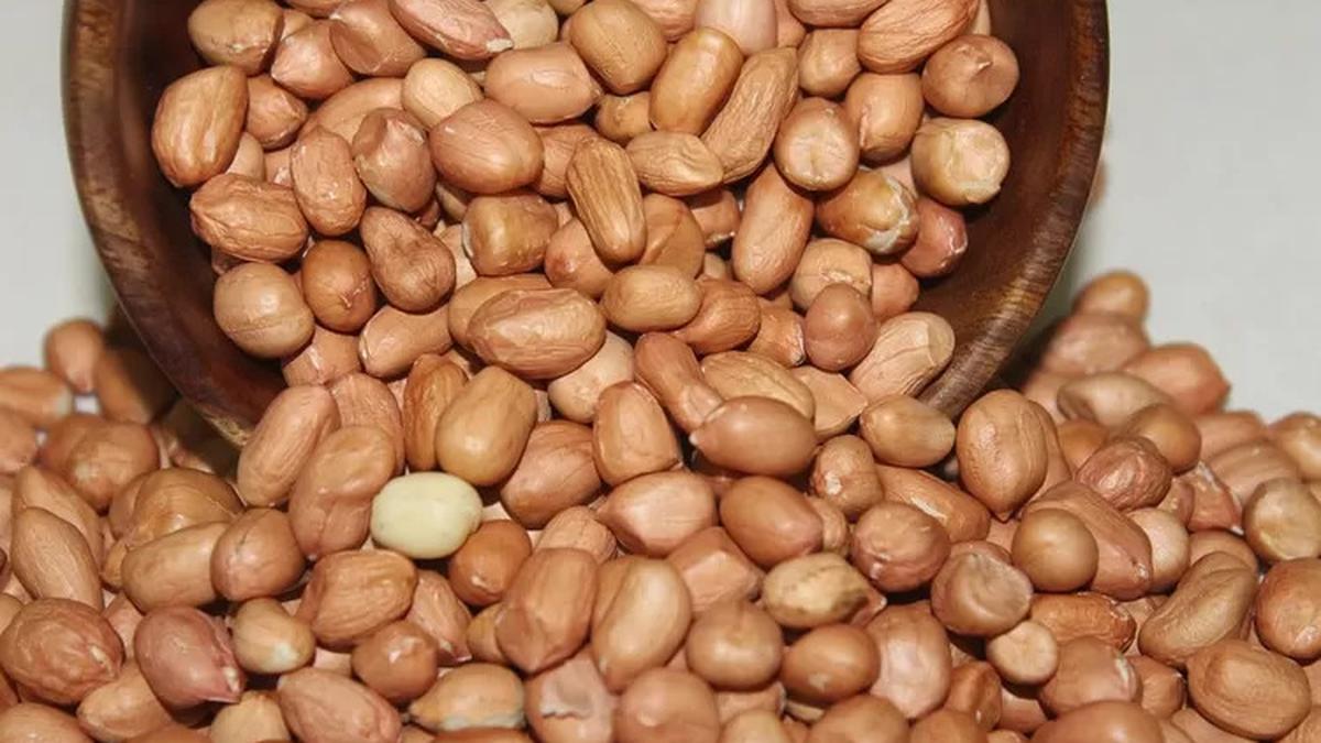 Kreasi Sajian Vegetarian dengan Kacang Tanah, Lezat dan Kaya Manfaat