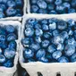 Ilustrasi Buah Blueberry Credit: pexels.com/Vee