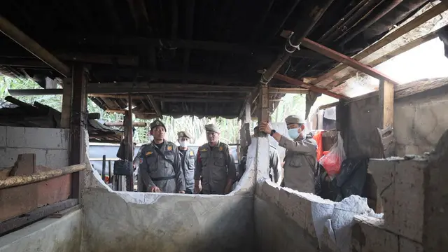 Peternakan babi di Makassar dibongkar setelah diprotes warga