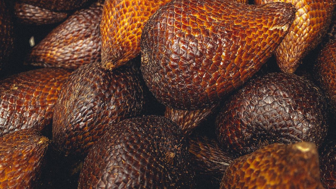 Ilustrasi salak pondoh | Adityo Cahyo dari Pexels