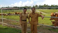 Peternakan Sapi Air Runding, Pasaman Barat. (Liputan6.com/ ist)