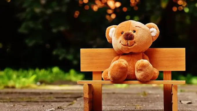 Polisi bawa boneka saat jalankan tugas/copyright Pexels.com