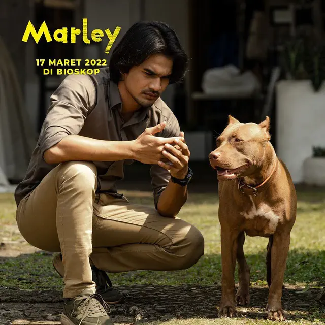 Poster film Marley (https://www.instagram.com/p/CZ8405ml53n/)