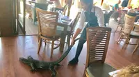 Aksi heroik pelayan mengusir kadal raksasa di restoran. (7 News)