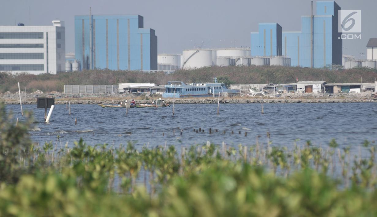 <p>Kondisi hutan bakau di pesisir kawasan Marunda, Jakarta, Selasa (27/8/2019). Tutupan hutan tersebut berakibat bertambahnya emisi karbon dioksida hingga 4,69 kilo ton. (merdeka.com/Iqbal S. Nugroho)</p>