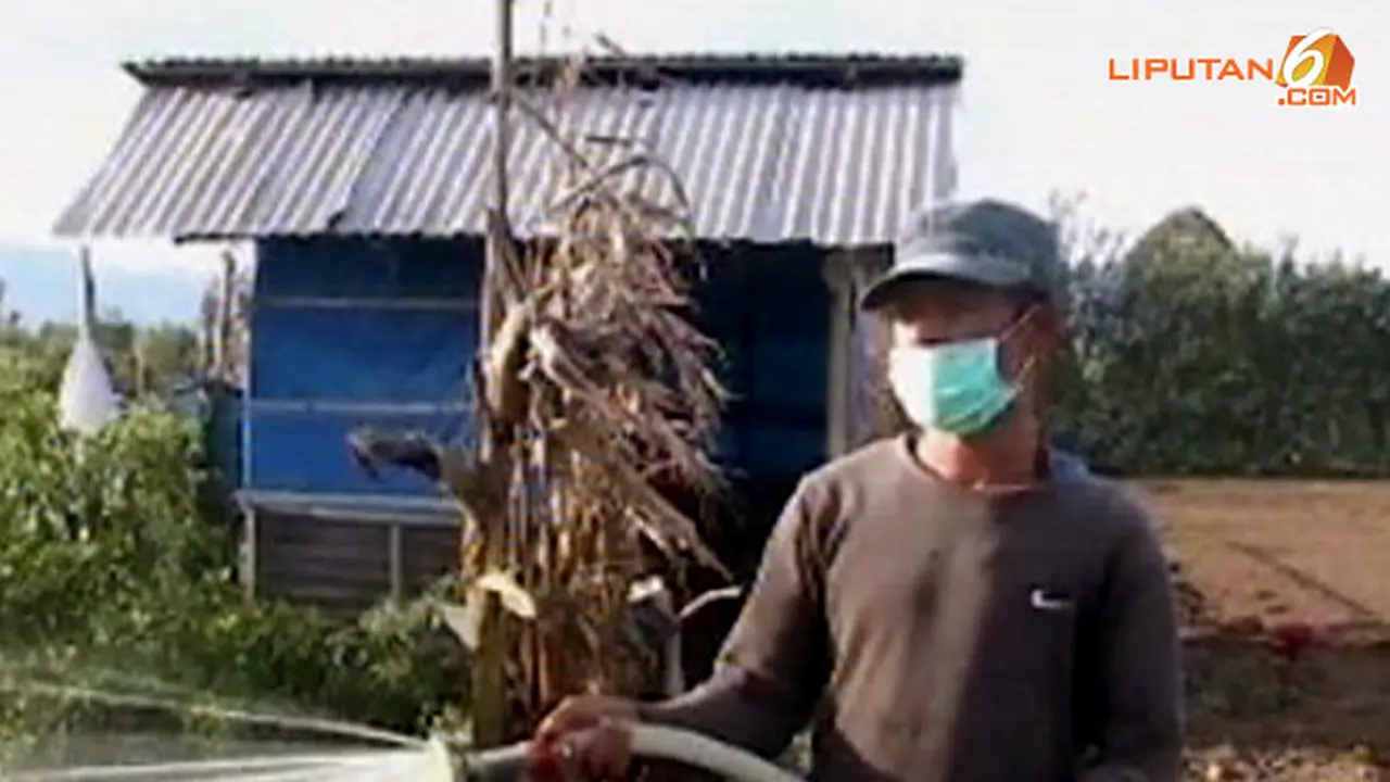 sinabung-130919b.jpg