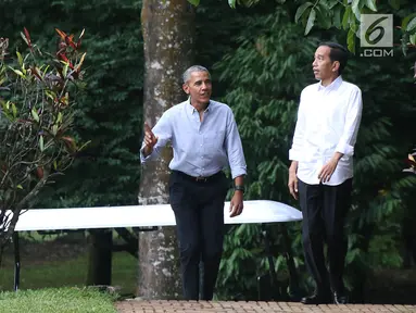 Presiden Joko Widodo berbincang dengan Presiden AS ke-44, Barack Obama di Kebun Raya Bogor menuju Grand Garden, Bogor, Jumat (29/6). Jokowi mengajak Obama berkeliling Kebun Raya untuk berbincang santai di Grand Garden. (liputan6.com/Angga Yuniar)