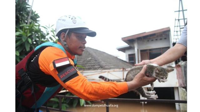 Potret Evakuasi 6 Kucing saat Banjir Ini Bikin Haru