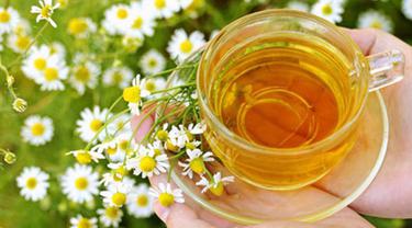 Hobi Minum Teh Chamomile 11 Manfaat Ini Harus Kamu Tahu Beauty